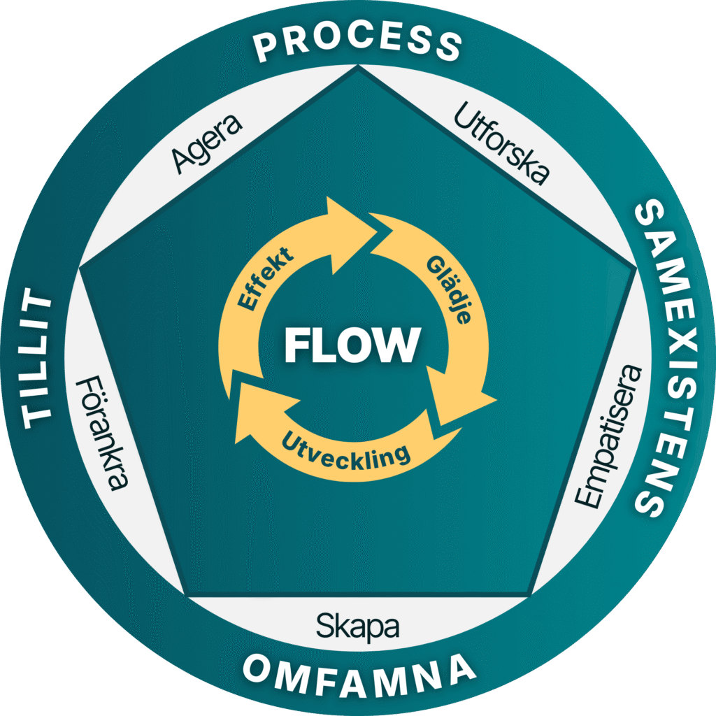 The Flow Mindset model bold